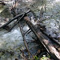 IMG_2456