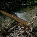 IMG_2460