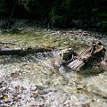 IMG_2462