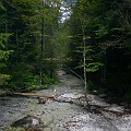 IMG_2463