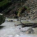 IMG_2480
