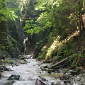 IMG_2482