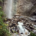 IMG_2487