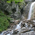 IMG_2494