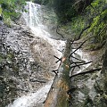 IMG_2587