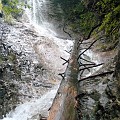 IMG_2587a