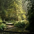 IMG_7874